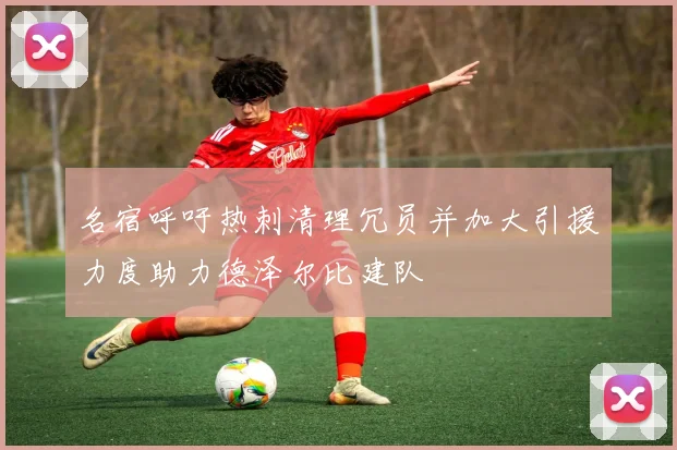 名宿呼吁热刺清理冗员并加大引援力度助力德泽尔比建队