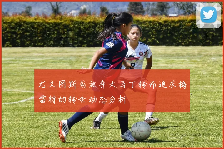 尤文图斯或放弃大马丁转而追求梅雷特的转会动态分析