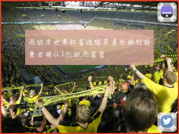 西班牙世界杯落选球员身价排行榜费尔明以1亿欧元居首