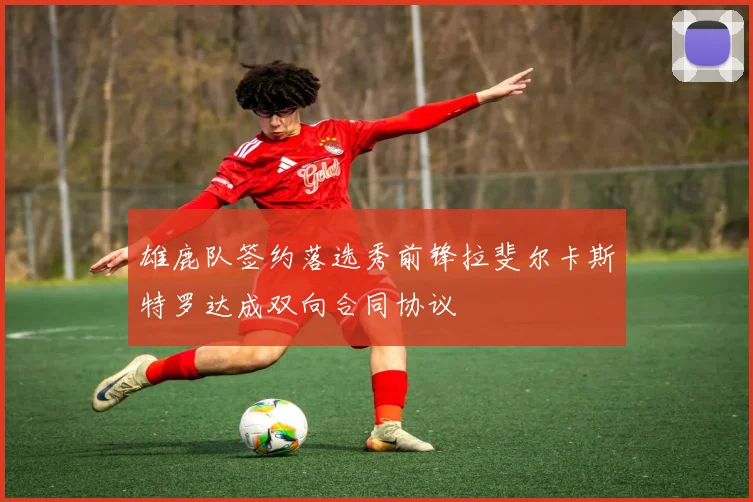 雄鹿队签约落选秀前锋拉斐尔卡斯特罗达成双向合同协议